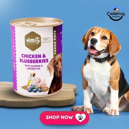 AMITY REALLY PET FOOD  CHICKEN & BLUEBERRIES, WIHT QUINOA & LINSEED OIL FRESH PATE