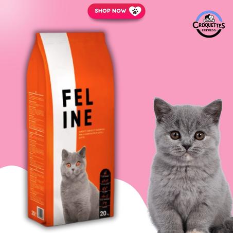 FEL INE FOR CAT 20KG