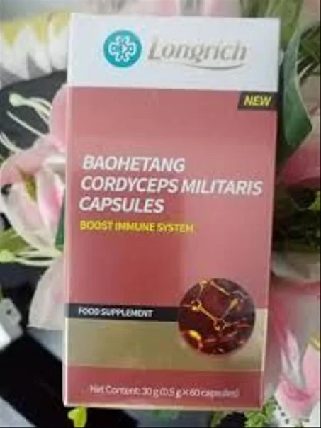 CORDYCEPS MILITARYS