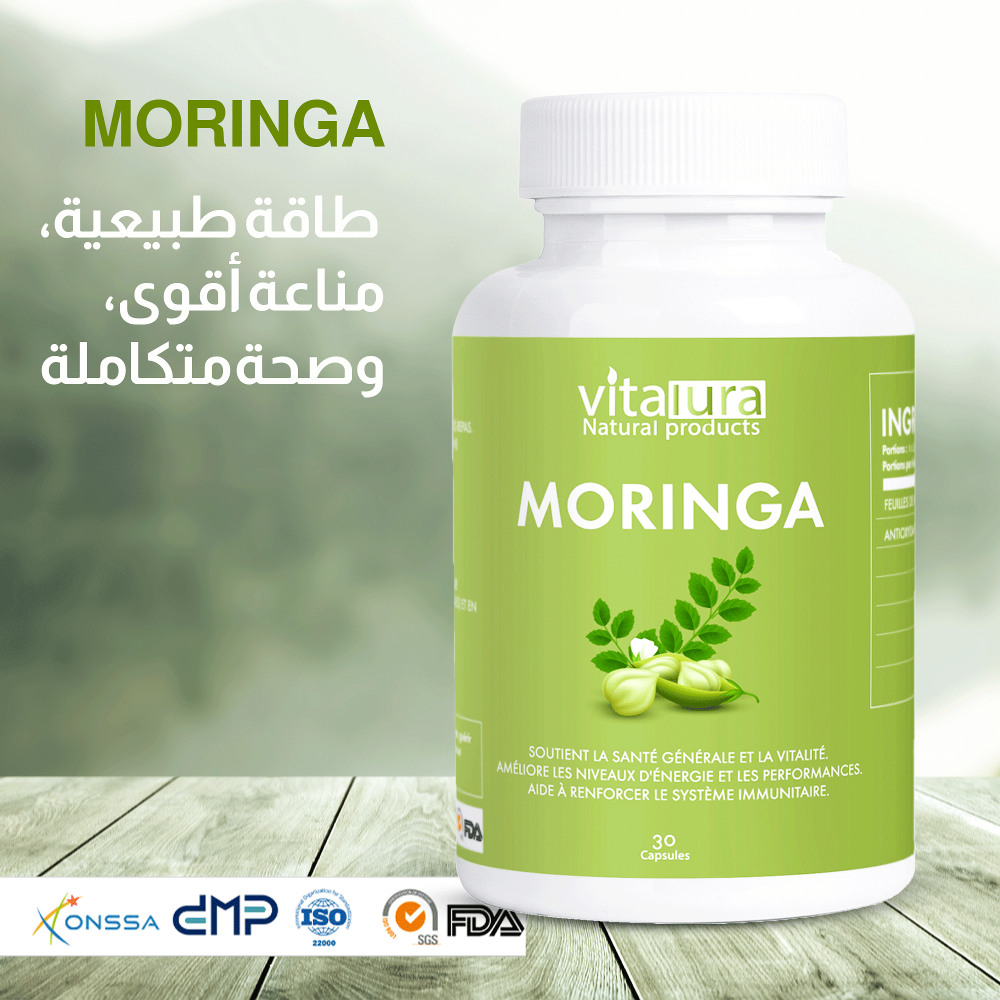 Moringa – سر الحيوية والمناعة الطبيعية