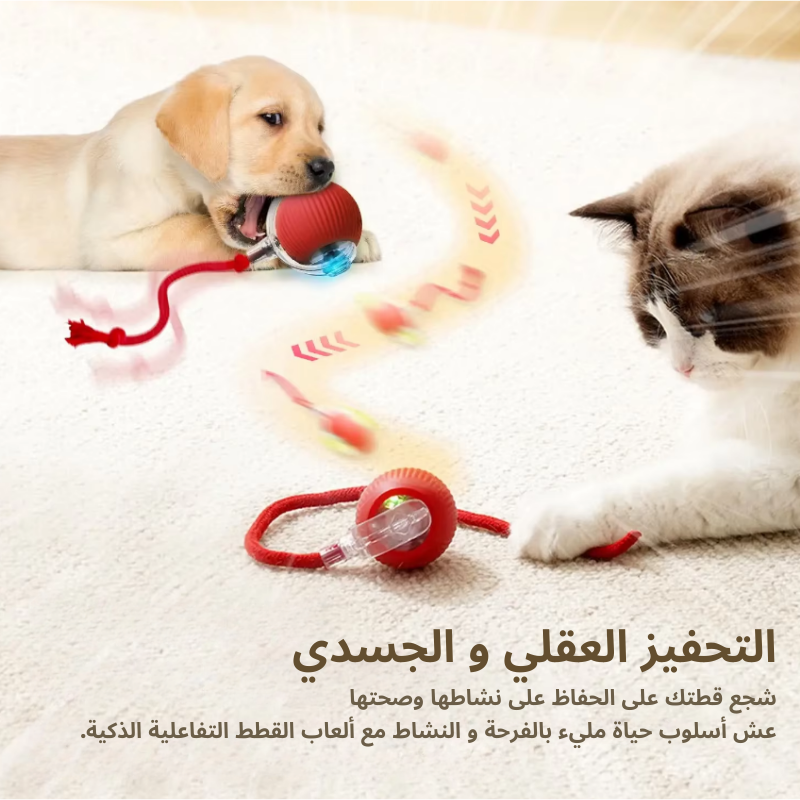لعبة الكرة التفاعلية للقطط، كرة دوارة أوتوماتيكية مع ذيل، لعبة تفاعلية ذكية للحيوانات الأليفة قابلة لإعادة الشحن، فأرة ذكية للقطط