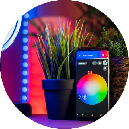 الاكسسوارات