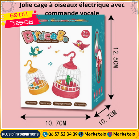 Jolie cage à oiseaux électrique avec commande vocale