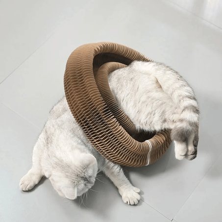 لوحة خدش القطط - لعبة تفاعلية للقطط