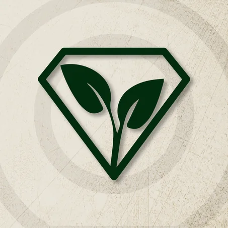 الصفحة الرئيسية