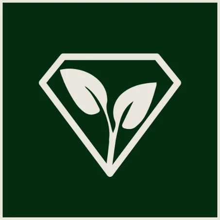 التصنيف الأول