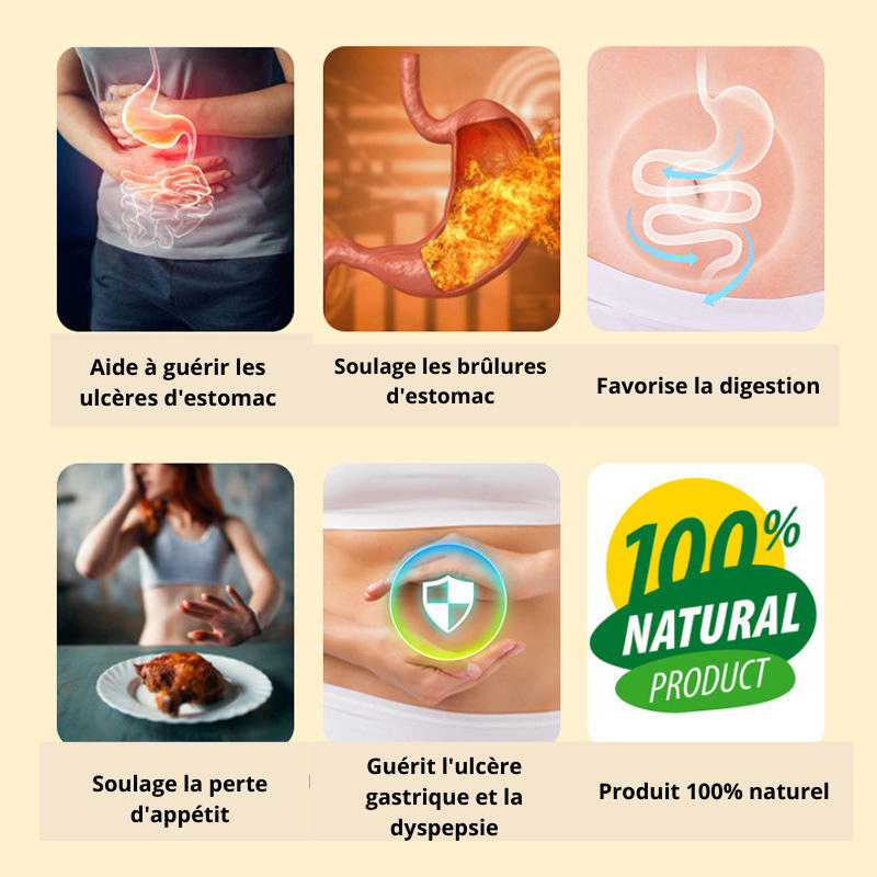 GASTRORELIEF™– Tisane Naturelle Anti-Ulcères & Digestion Saine