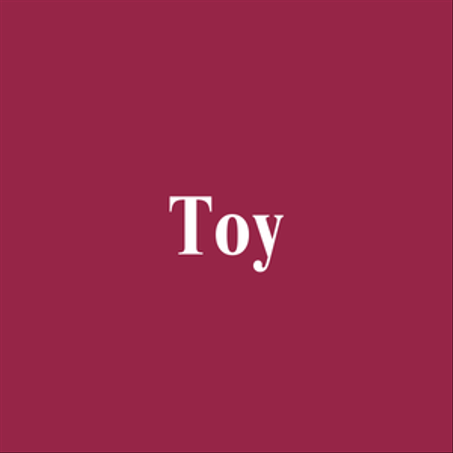 Toy