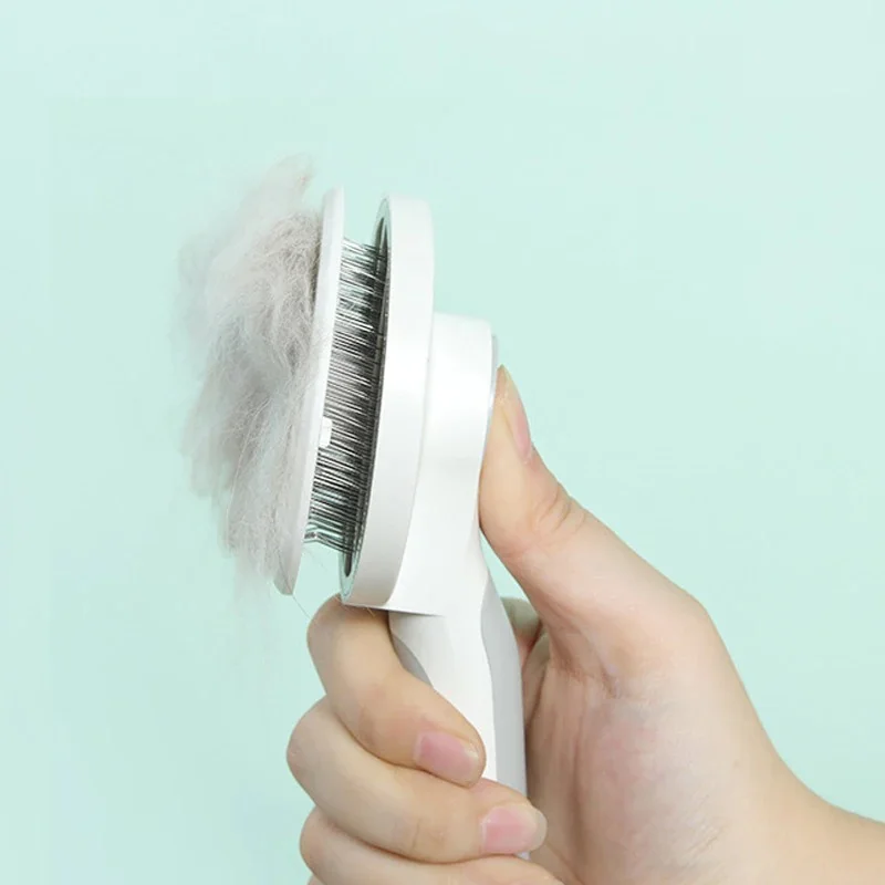 Cat Brush