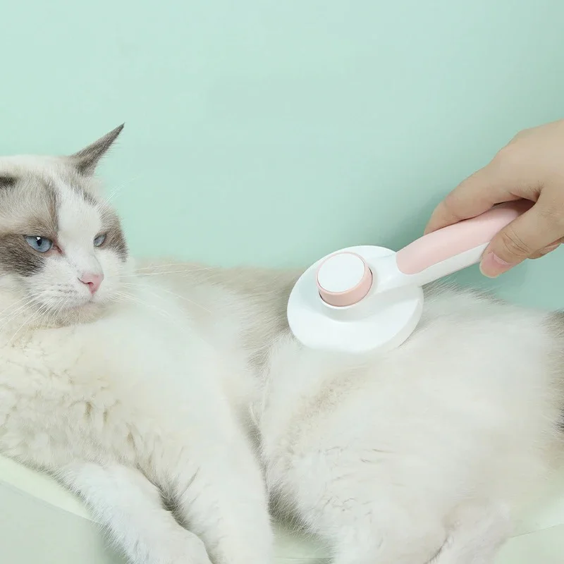 Cat Brush