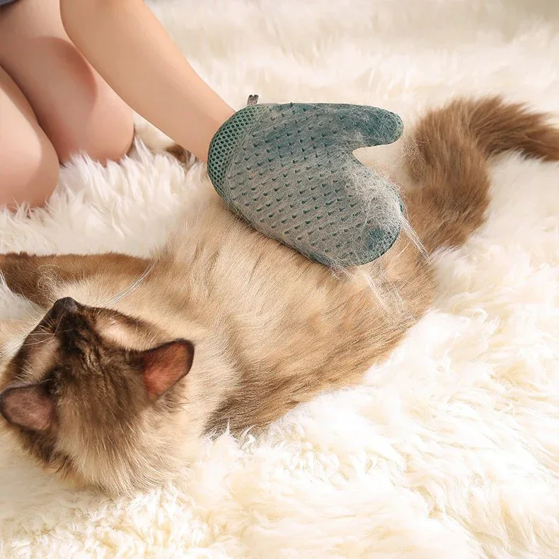 2-In-1 Cat Glove