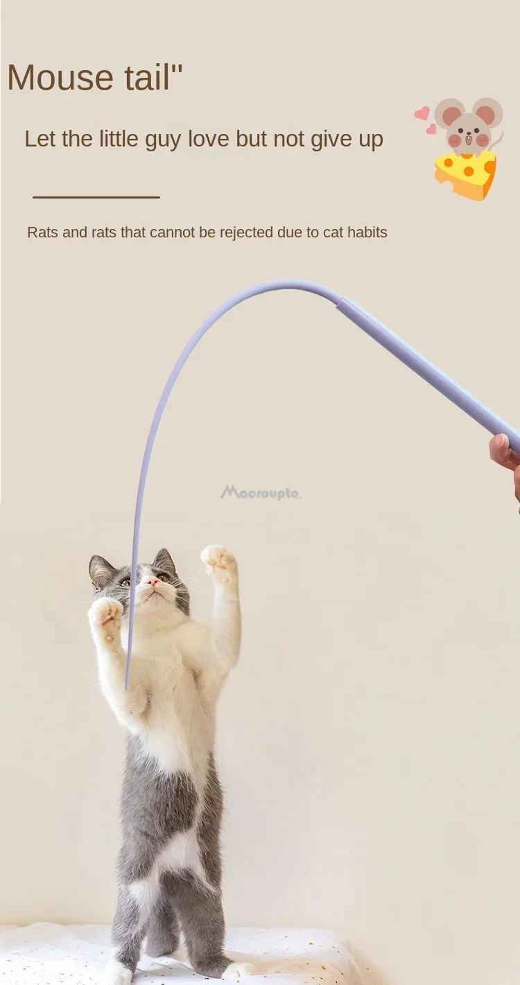 Silicone Cat Teaser Toys