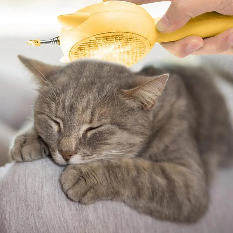 All-in-1 Cat Brush