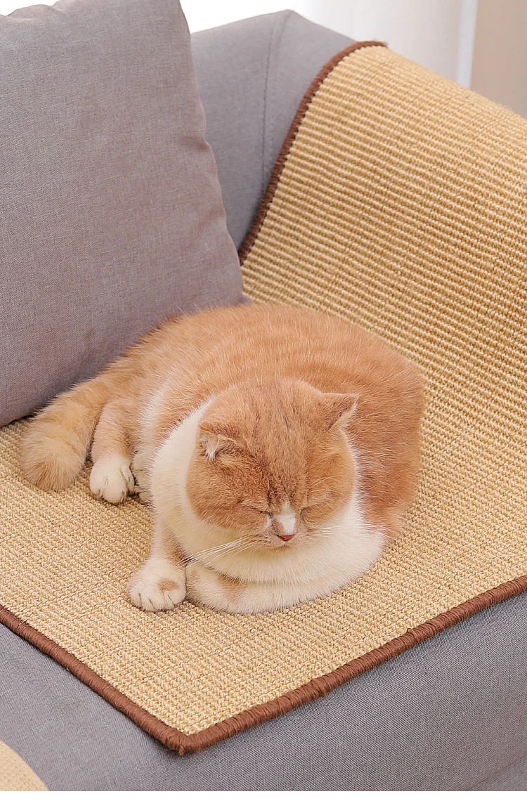 Scratcher Mat