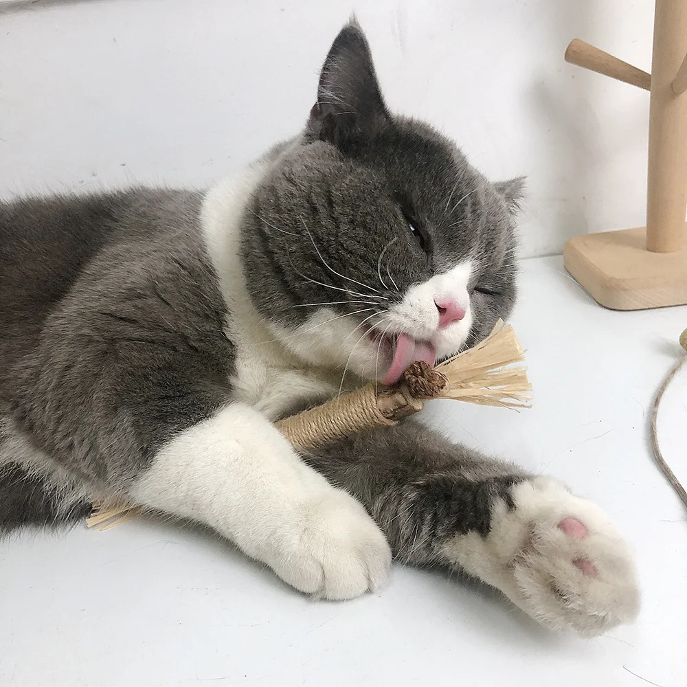 All Natural Teething Toy (5Pcs)