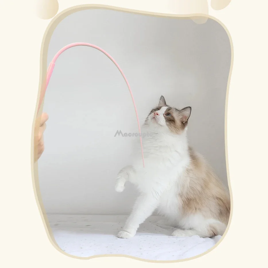 Silicone Cat Teaser Toys