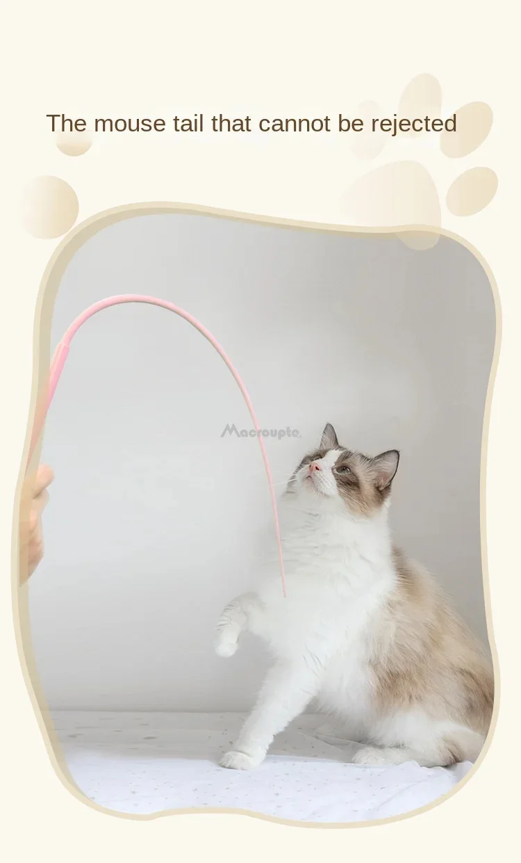 Silicone Cat Teaser Toys