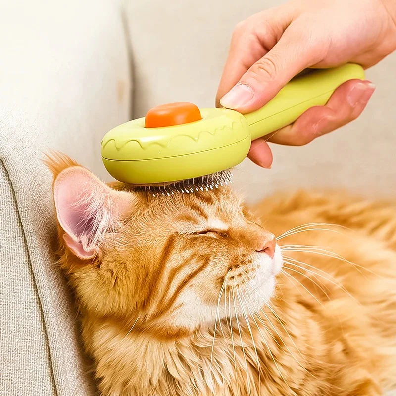 Cat Brush Donut