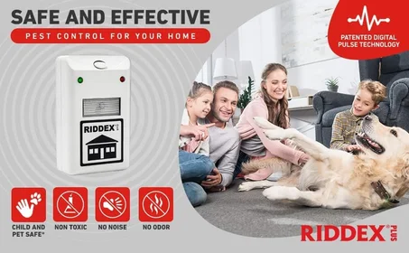 Insect Repellent Device