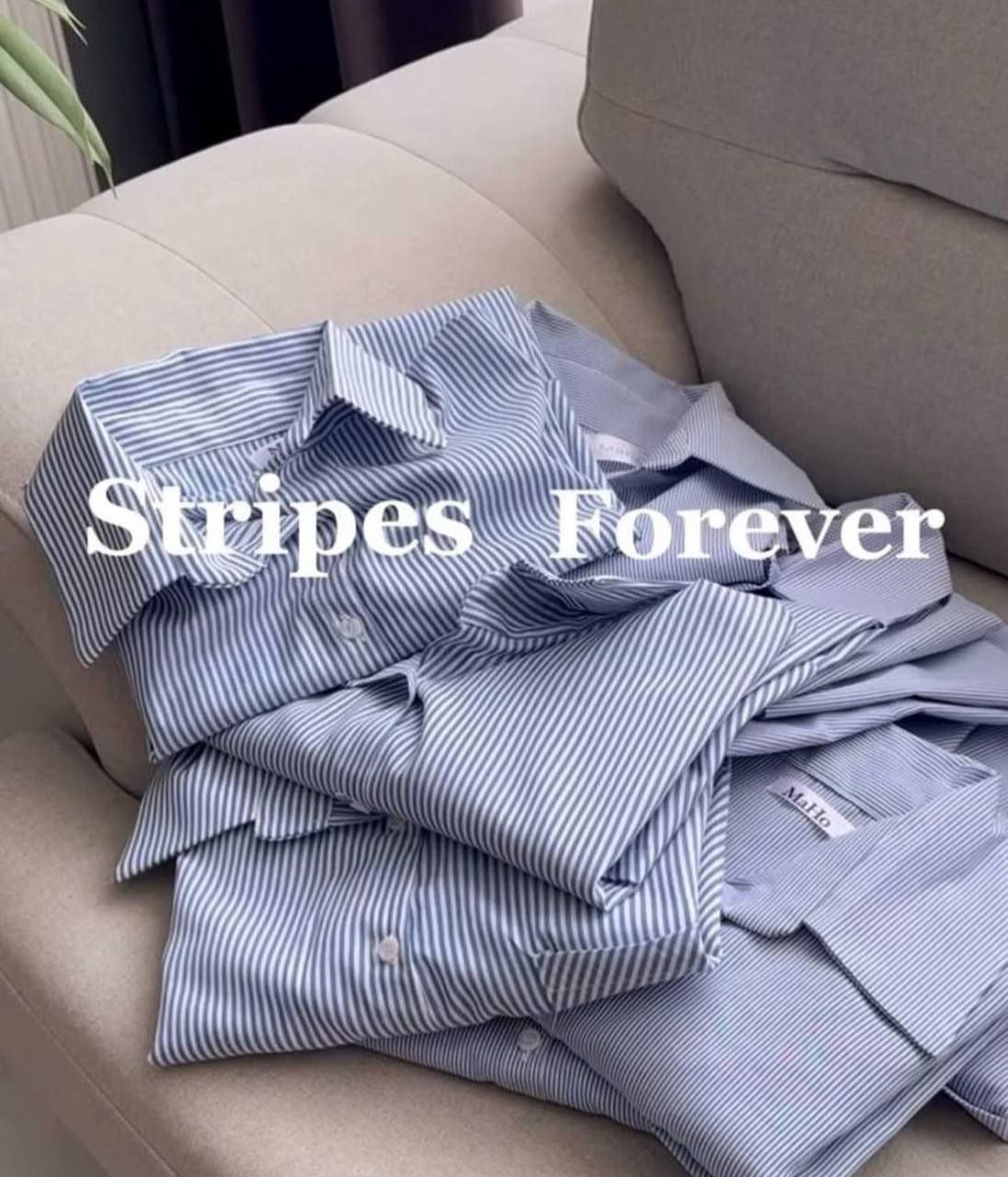 شميز مقلم خطوط ضيقه
