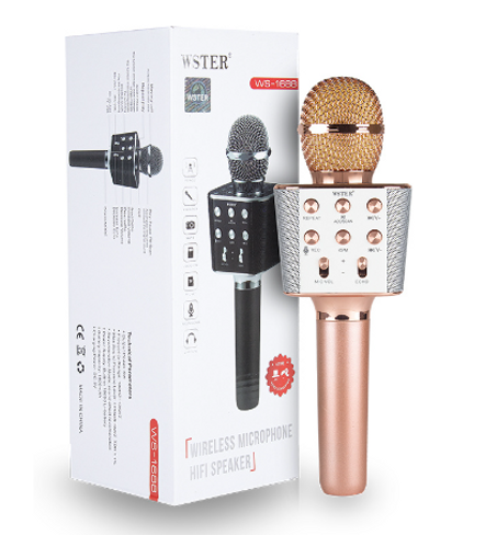 Microphone et hauparleur karaoké bleutooth sans fil