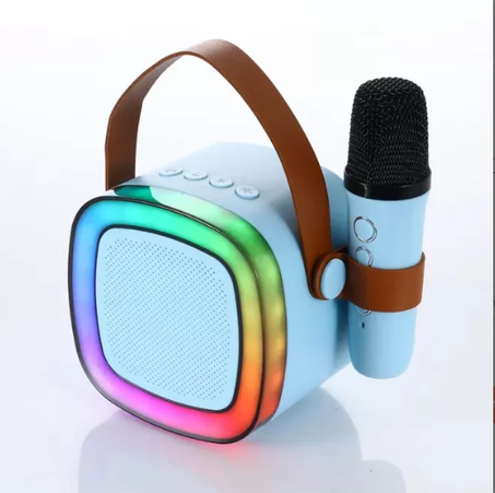 Haut-Parleur de Karaoké Sans Fil avec Microphone
