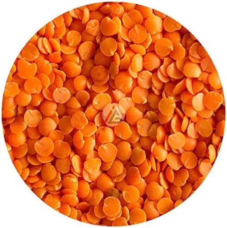 العدس الأحمر (Red Lentils)
