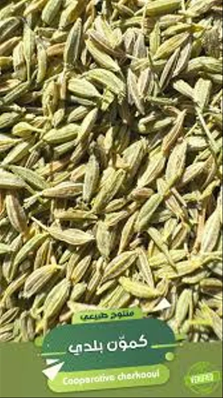 كمون بلدي صحراوي