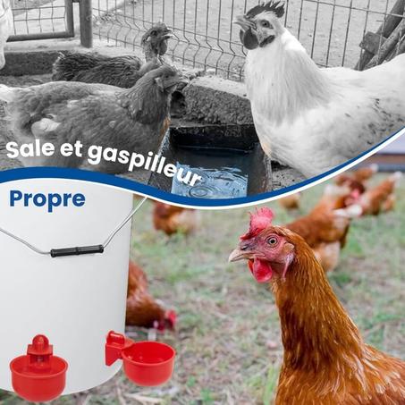 Pack de 10 Distributeurs d’Eau Automatiques pour Volailles – Seaux Non Inclus – Idéal pour Poules, Canards, Pigeons, etc.