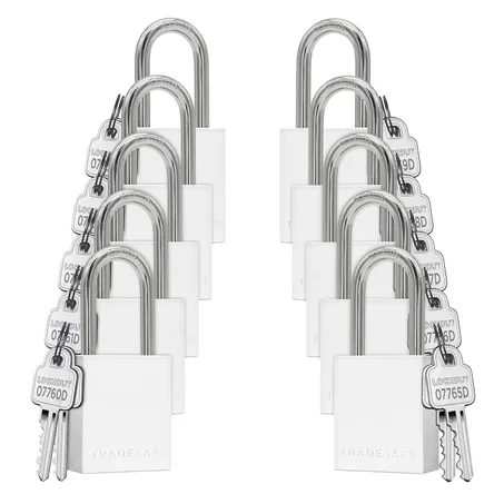 TRADESAFE Juego de cerraduras de bloqueo y etiquetado – 10 cerraduras de aluminio plateado, candados de bloqueo diferentes con llave, 2 llaves por candado de bloqueo, cumple con OSHA