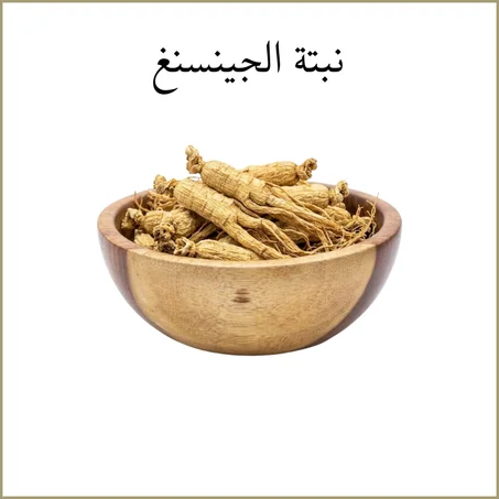 نبتة الجينسنغ
