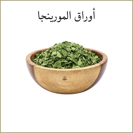 أوراق المورينجا