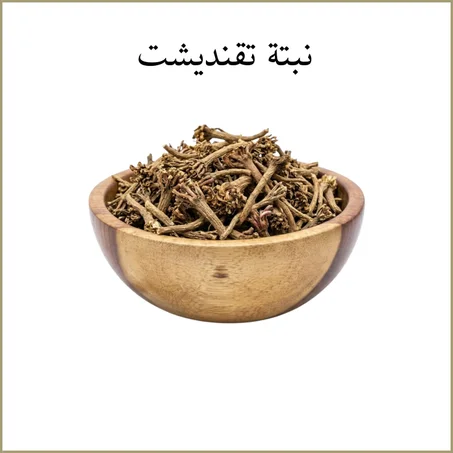 نبتة تقنديشت