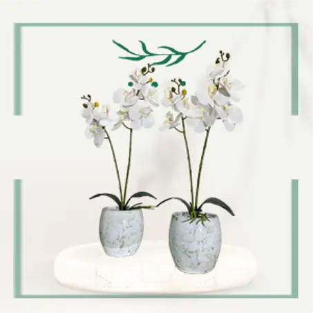 Orchidées Artificielles