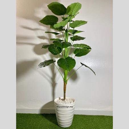 Arbre Ficus           Dimensions : 1,6m complet