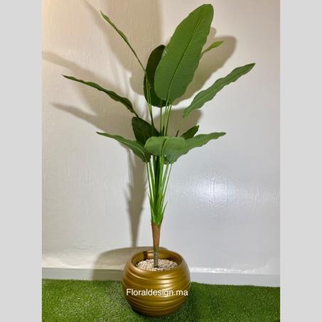 Bananier Tropical Pot Doré        Dimensions 1,8m complet