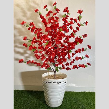 Amandier Rouge        Dimensions : 1,20m complet