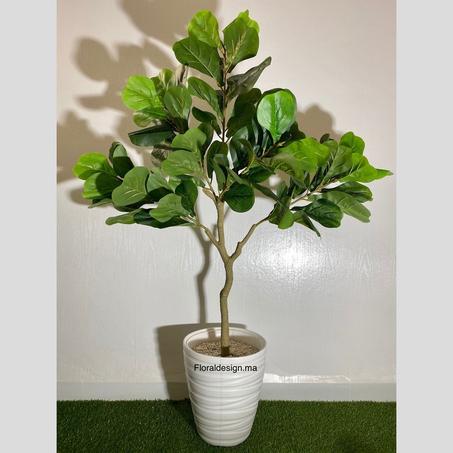 Avocatier            Dimensions : 1,50m complet