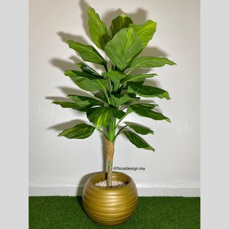 Bananier ref-PG Pot Doré           Dimensions : 1,6m complet