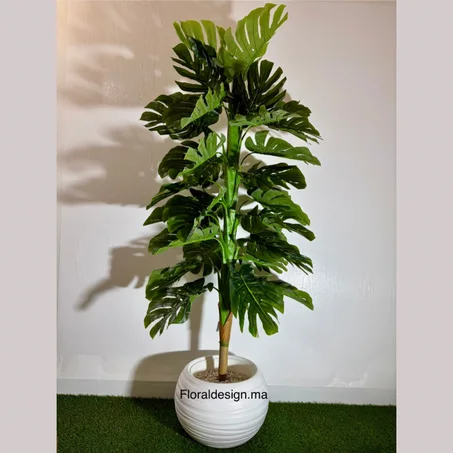 Monstera Ref-MT           Dimensions : 1,70m complet