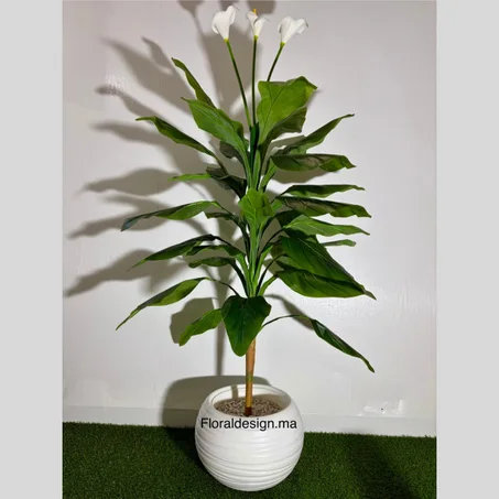 Fleur de Lune Blanche Ref-LV          Dimensions : 1,60m complet