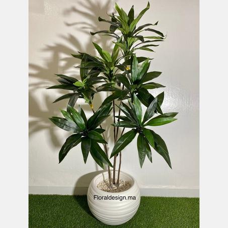 DRACENA  Ref-6T-PG           Dimensions : 1,50m complet