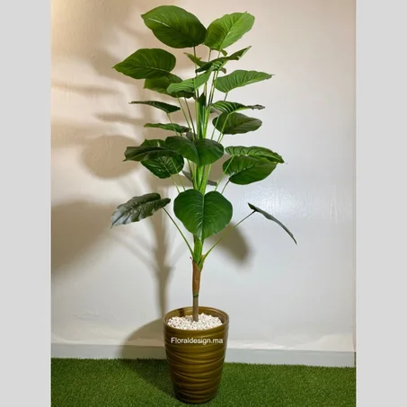 Arbre Ficus           Dimensions : 1,6m complet