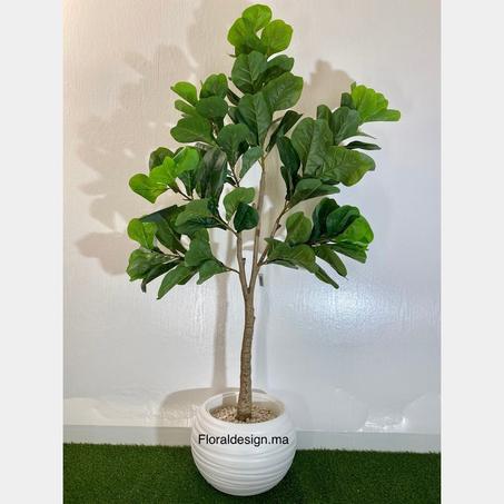 Grand Avocatier        Dimensions : 1,80m complet