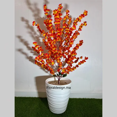 Amandier Orange        Dimensions : 1,20m complet