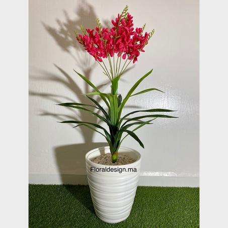 Cymbidium Rouge         Dimensions : 1,10m complet