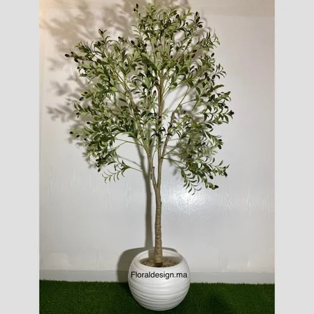 OLIVIER Ref-LV           Dimensions : 2m complet