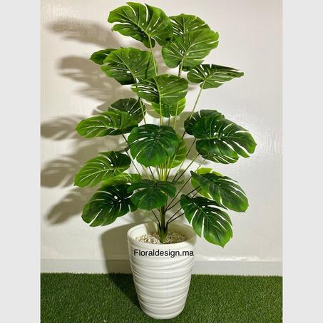 Philodendron  Réf-24F            Dimensions : 1,30m complet