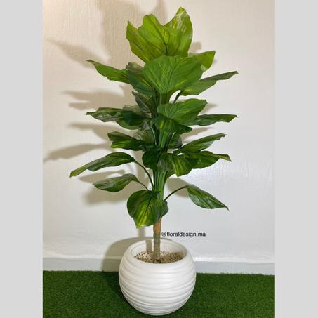 Bananier ref-PG           Dimensions : 1,60m complet