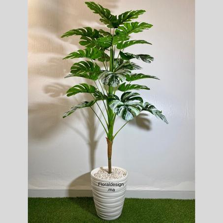 Philodendron Ref-18F-L          Dimensions : 1,6m complet